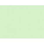 Xerografický papír A4 Forest 80g,500 listů
